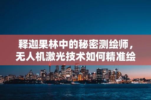 释迦果林中的秘密测绘师，无人机激光技术如何精准绘制果林地图？