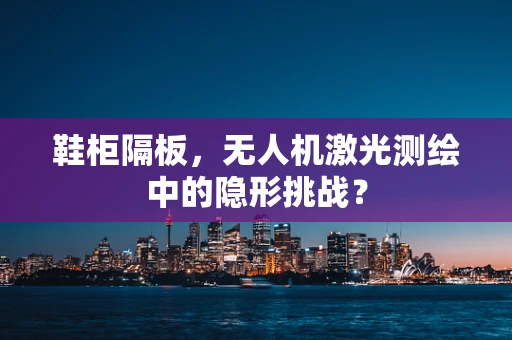 鞋柜隔板，无人机激光测绘中的隐形挑战？