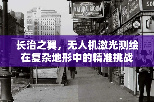 长治之翼，无人机激光测绘在复杂地形中的精准挑战