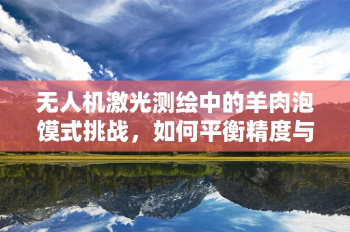 无人机激光测绘中的羊肉泡馍式挑战，如何平衡精度与地物特性？