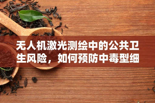 无人机激光测绘中的公共卫生风险，如何预防中毒型细菌性痢疾的爆发？
