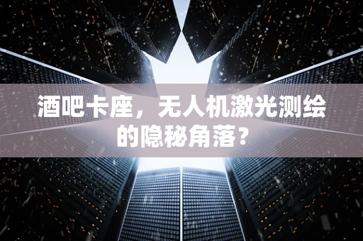 酒吧卡座，无人机激光测绘的隐秘角落？