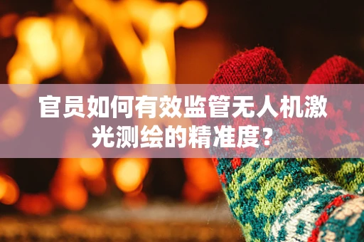 官员如何有效监管无人机激光测绘的精准度？