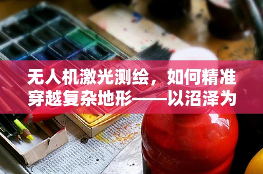 无人机激光测绘，如何精准穿越复杂地形——以沼泽为例？
