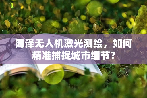 菏泽无人机激光测绘，如何精准捕捉城市细节？