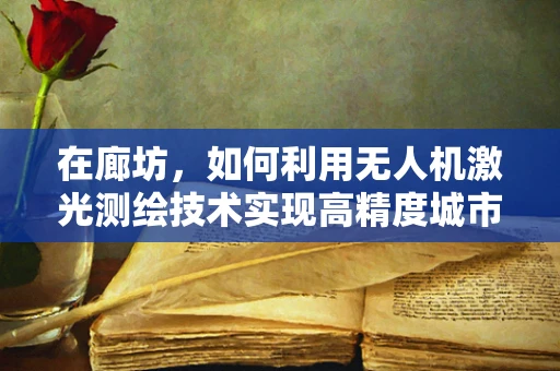 在廊坊，如何利用无人机激光测绘技术实现高精度城市规划？