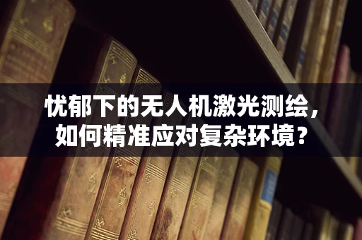 忧郁下的无人机激光测绘，如何精准应对复杂环境？
