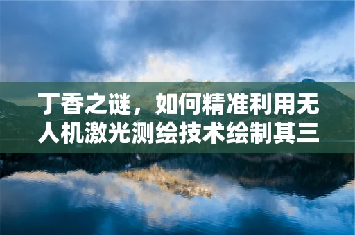 丁香之谜，如何精准利用无人机激光测绘技术绘制其三维模型？