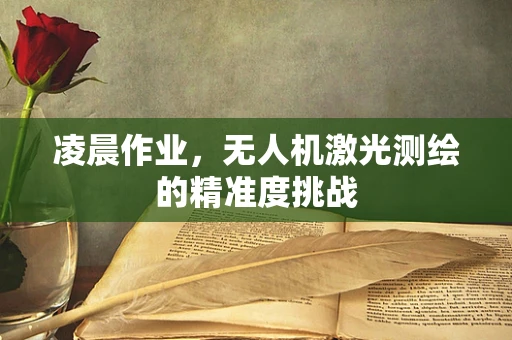 凌晨作业，无人机激光测绘的精准度挑战