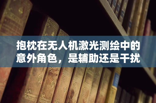 抱枕在无人机激光测绘中的意外角色，是辅助还是干扰？