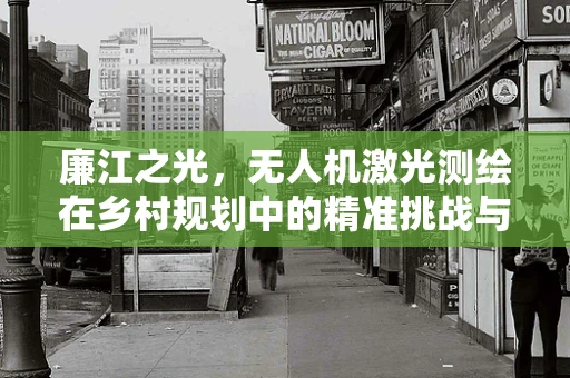 廉江之光，无人机激光测绘在乡村规划中的精准挑战与解决方案？
