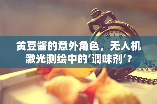 黄豆酱的意外角色，无人机激光测绘中的‘调味剂’？