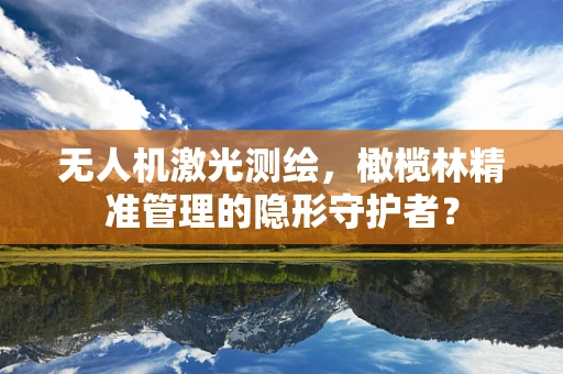 无人机激光测绘，橄榄林精准管理的隐形守护者？