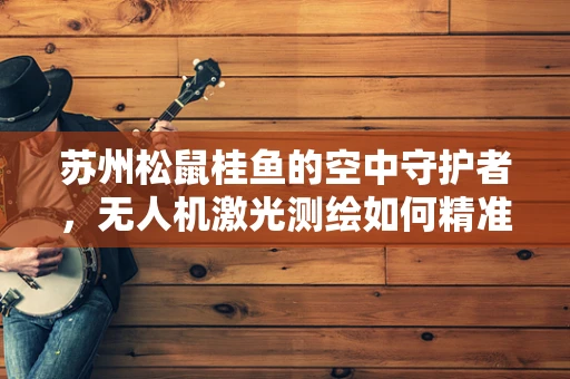 苏州松鼠桂鱼的空中守护者，无人机激光测绘如何精准捕捉美食之城的细节？