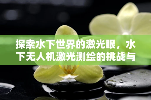 探索水下世界的激光眼，水下无人机激光测绘的挑战与机遇