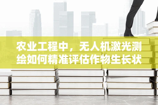 农业工程中，无人机激光测绘如何精准评估作物生长状态？