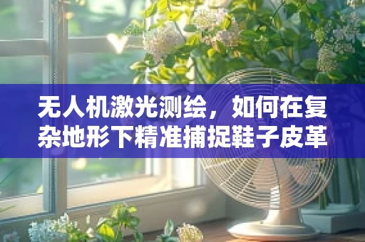 无人机激光测绘，如何在复杂地形下精准捕捉鞋子皮革的细节？