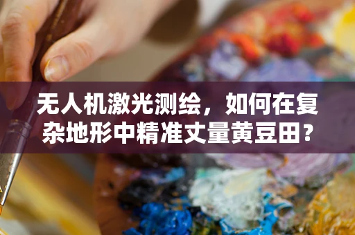 无人机激光测绘，如何在复杂地形中精准丈量黄豆田？