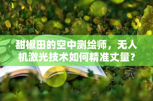 甜椒田的空中测绘师，无人机激光技术如何精准丈量？