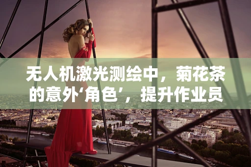 无人机激光测绘中，菊花茶的意外‘角色’，提升作业员专注力与工作效率的秘密？