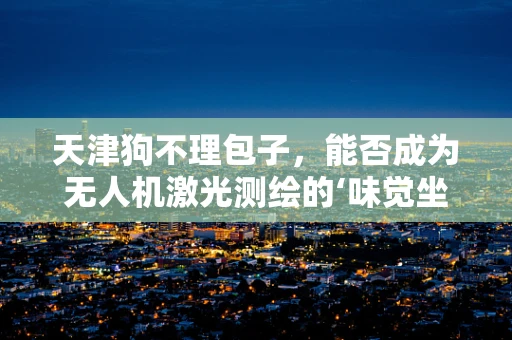 天津狗不理包子，能否成为无人机激光测绘的‘味觉坐标’？