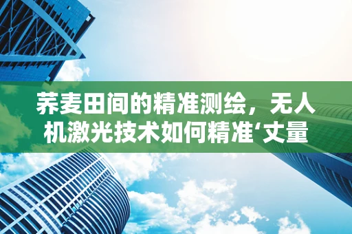 荞麦田间的精准测绘，无人机激光技术如何精准‘丈量’？