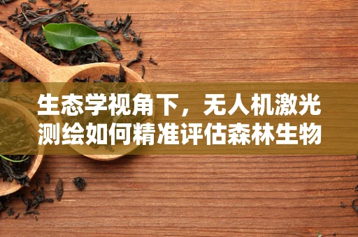 生态学视角下，无人机激光测绘如何精准评估森林生物多样性？