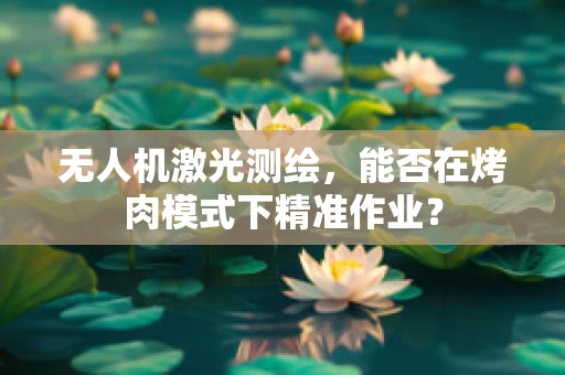 无人机激光测绘，能否在烤肉模式下精准作业？