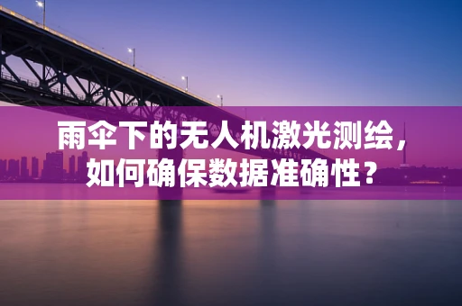 雨伞下的无人机激光测绘，如何确保数据准确性？