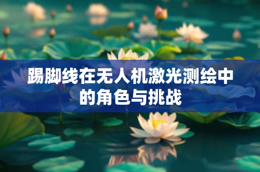 踢脚线在无人机激光测绘中的角色与挑战