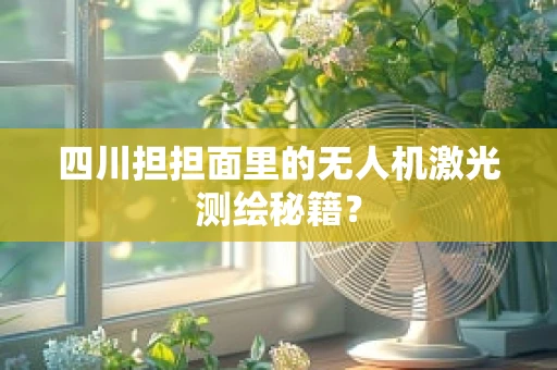 四川担担面里的无人机激光测绘秘籍？