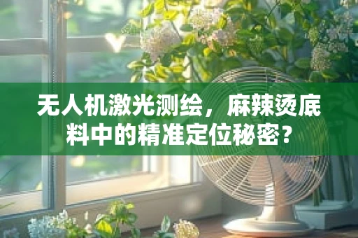 无人机激光测绘，麻辣烫底料中的精准定位秘密？