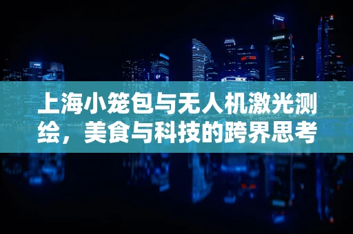 上海小笼包与无人机激光测绘，美食与科技的跨界思考
