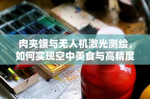 肉夹馍与无人机激光测绘，如何实现空中美食与高精度测量的完美融合？