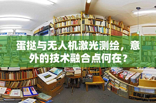蛋挞与无人机激光测绘，意外的技术融合点何在？