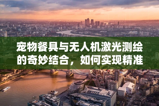 宠物餐具与无人机激光测绘的奇妙结合，如何实现精准定位？