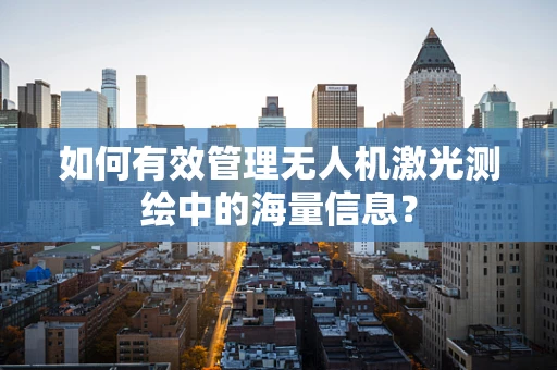 如何有效管理无人机激光测绘中的海量信息？