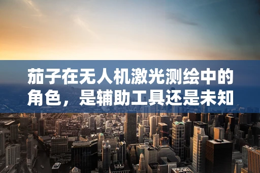 茄子在无人机激光测绘中的角色，是辅助工具还是未知的秘密武器？