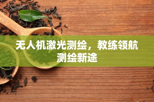 无人机激光测绘，教练领航测绘新途