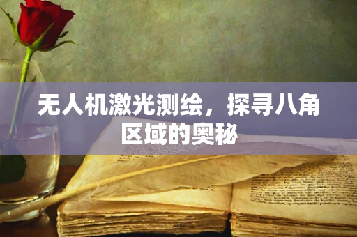 无人机激光测绘，探寻八角区域的奥秘