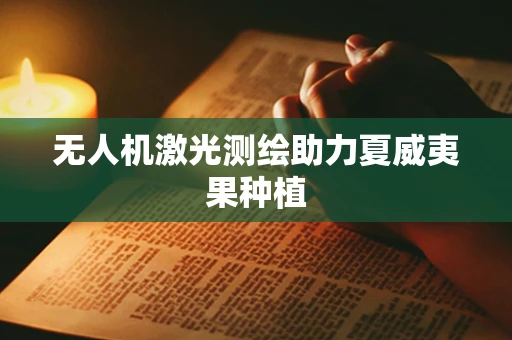 无人机激光测绘助力夏威夷果种植