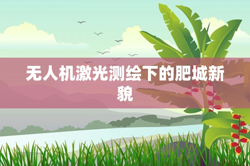 无人机激光测绘下的肥城新貌