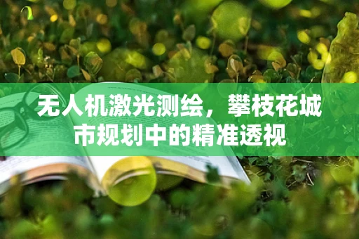 无人机激光测绘，攀枝花城市规划中的精准透视