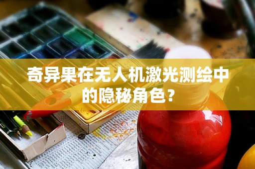 奇异果在无人机激光测绘中的隐秘角色？