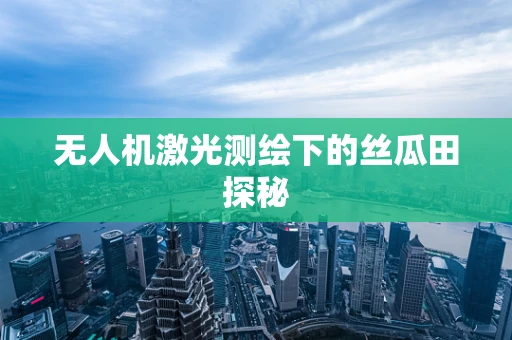 无人机激光测绘下的丝瓜田探秘