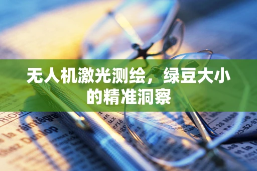 无人机激光测绘，绿豆大小的精准洞察