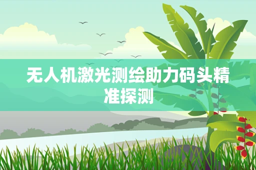 无人机激光测绘助力码头精准探测