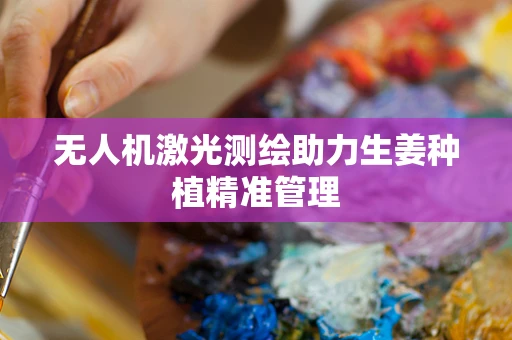 无人机激光测绘助力生姜种植精准管理