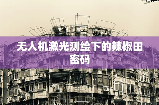 无人机激光测绘下的辣椒田密码