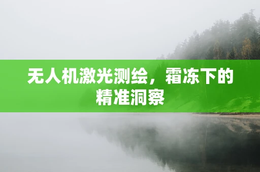 无人机激光测绘，霜冻下的精准洞察